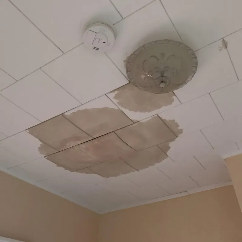 Ceiling Water Damage Repair in Danielson, CT