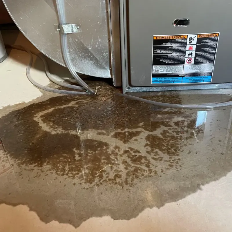 Pipe Burst and Leak Restoration in Danielson, CT