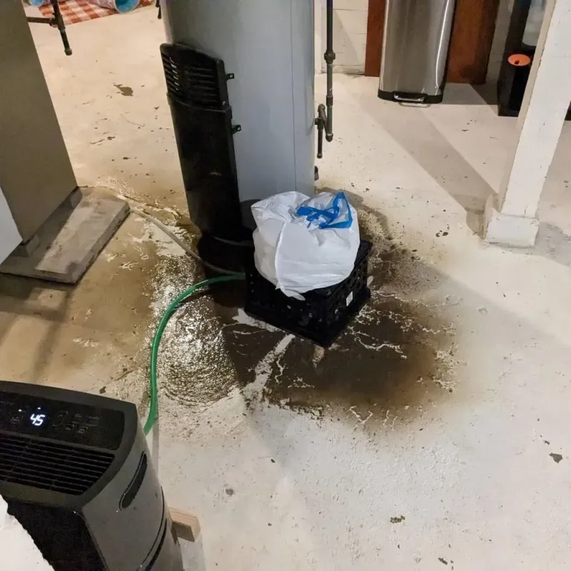 Sewage Backup Cleanup Service in Danielson, CT